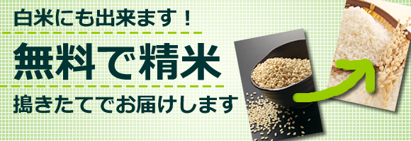 白米にも出来ます!無料で精米。搗きたてでお届けします。