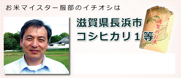 お米マイスター服部のイチオシは、滋賀県長浜市コシヒカリ1等
